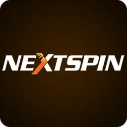 ภาพสัญลักษณ์โลโก้ของผู้พัฒนาเกม NS
